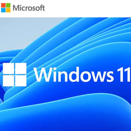 Microsoft Windows 11 Pro Professional 64-bit English DVD OEM